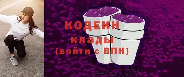 молекула духа Бородино