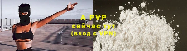 хмурый Верея