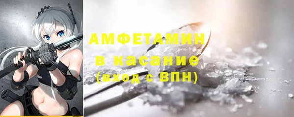 молекула духа Бородино