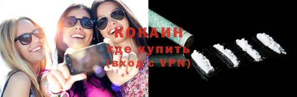 молекула духа Бородино