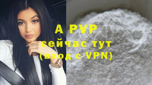 молекула духа Бородино