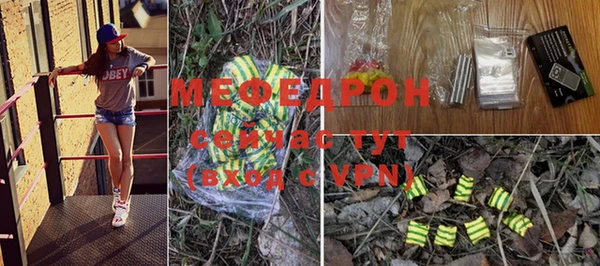 молекула духа Бородино