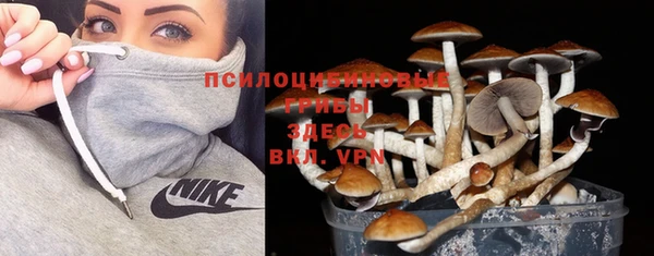 прущая мука Бугульма