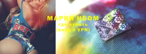 молекула духа Бородино
